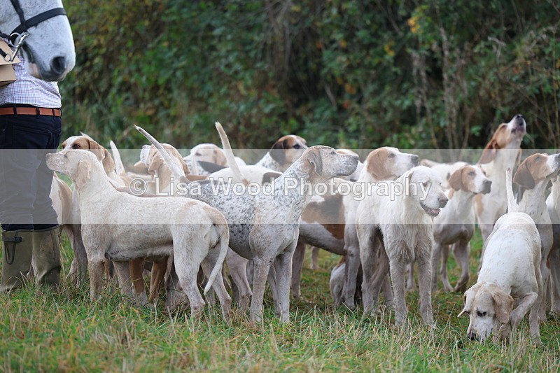 3E7A0581 - Four Burrow Opening Meet 2025