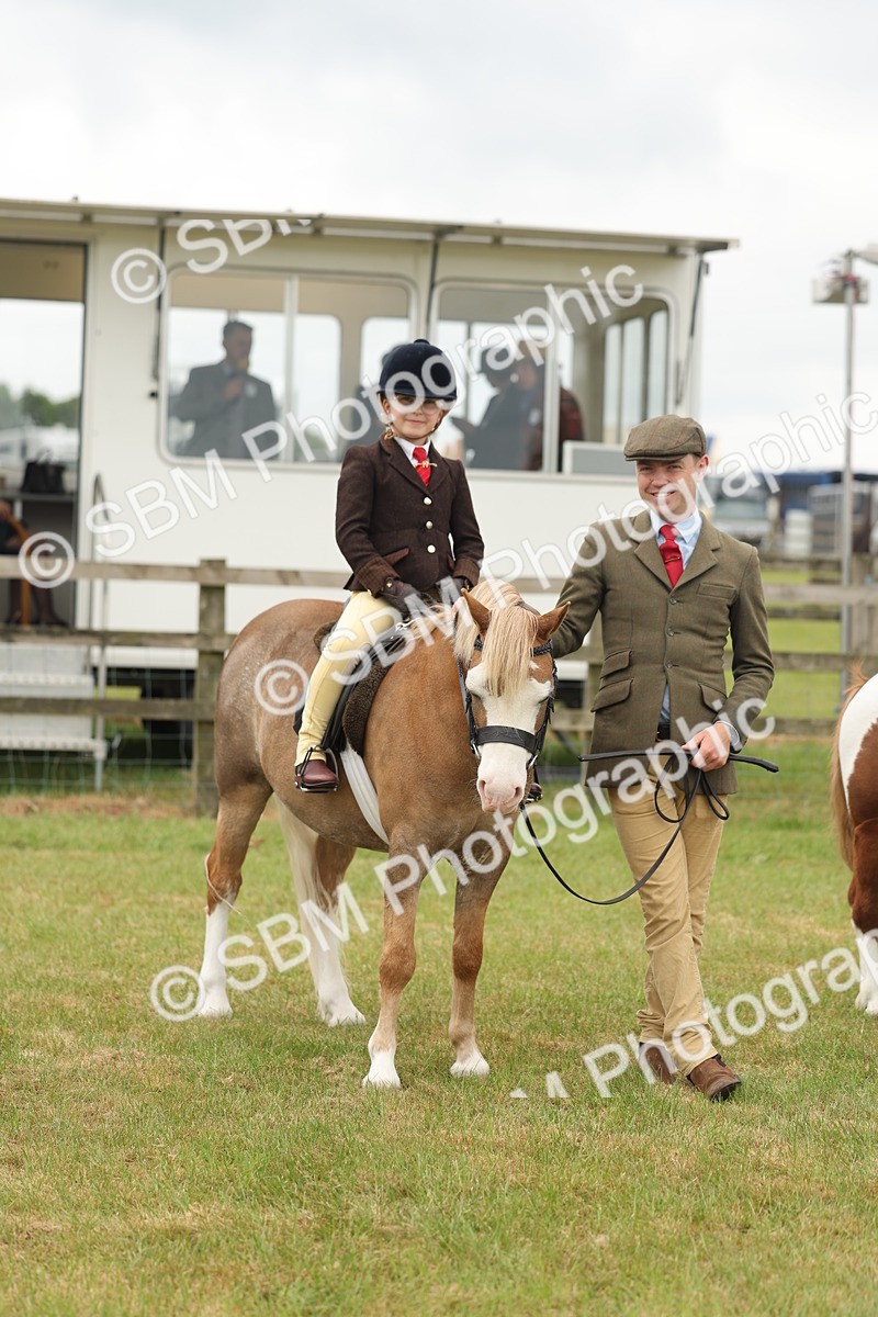 SBM_06783 - Class 74-75 - M&M Lead Rein and First Ridden Pony