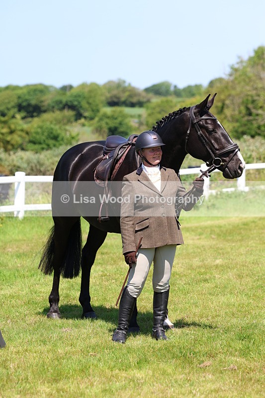 3E7A7383 - Class 30: Novice Working Hunter