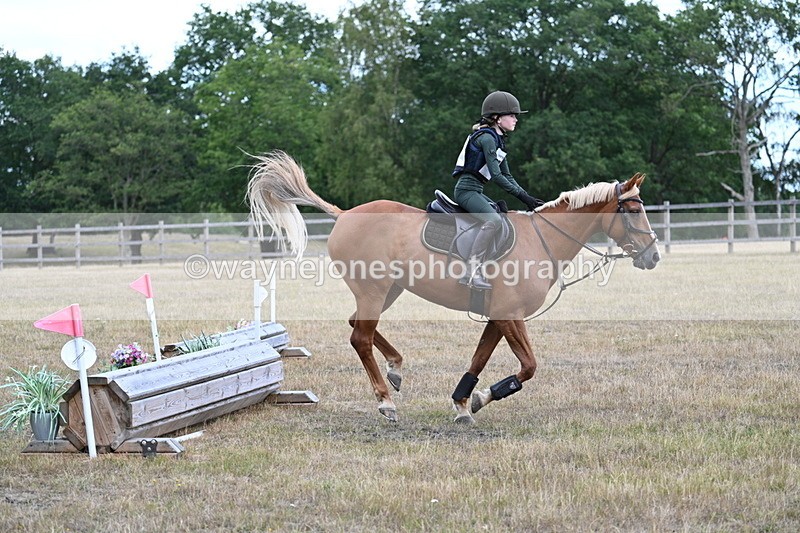 WJ7_1628 - 60cm Time 13:20 to 14:27