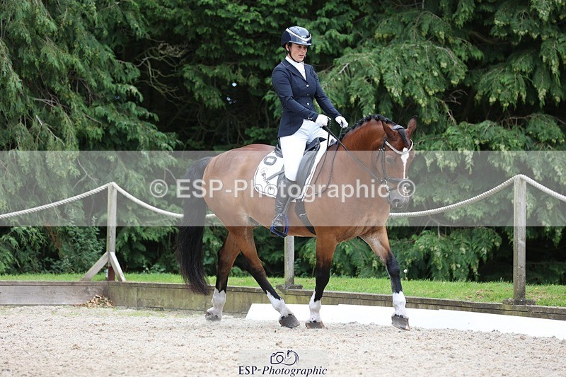 230812-150906-05065 - Cls 5 Novice Bronze 15.00 to End