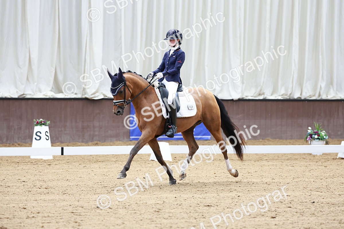 SBM_017271 - Class15 - FEI Pony