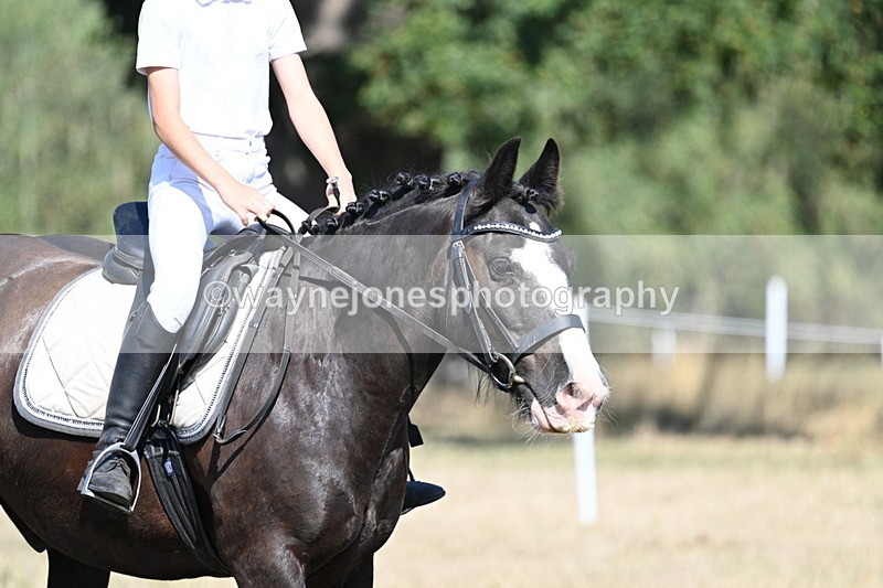 WJ7_9557 - Time 10:32 to 10:55