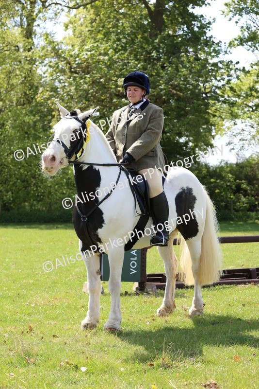 20250427-2644 - Class 20 - Working Hunter Ponies