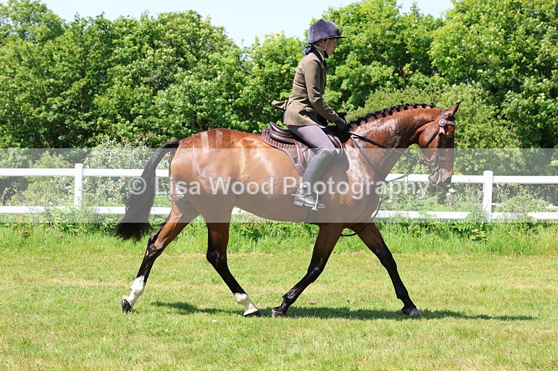3E7A7506 - Class 31: Working Hunter Cob/Riding Horse