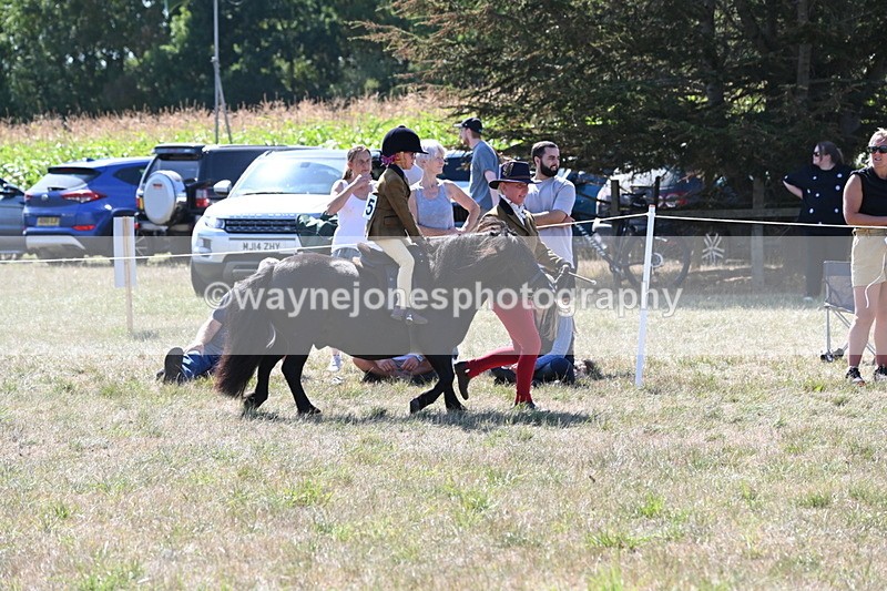 WJ6_8078 - Class 36 Lead Rein