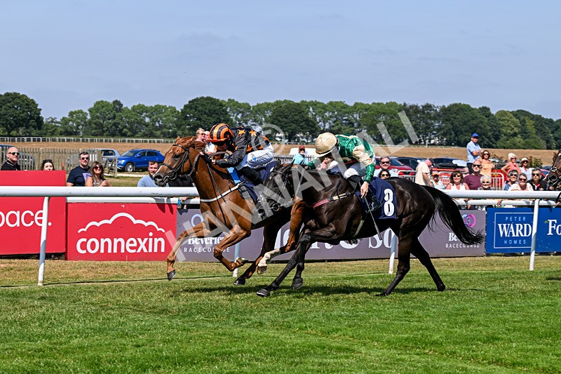 140726-Race 2-What A Tahoo-9776 - Race 2 14.47pm Young Guns Handicap