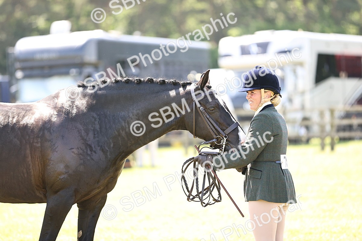 SBM_15224 - Class 79-80 - LIHS BSHA Rising Star Ridden Hunter