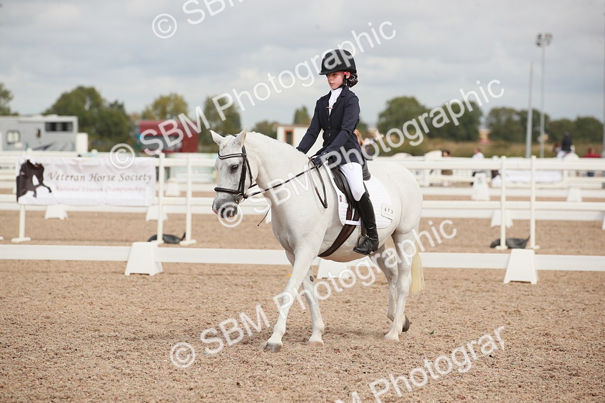 SBM_03975 - Class 31 - Prelim 1