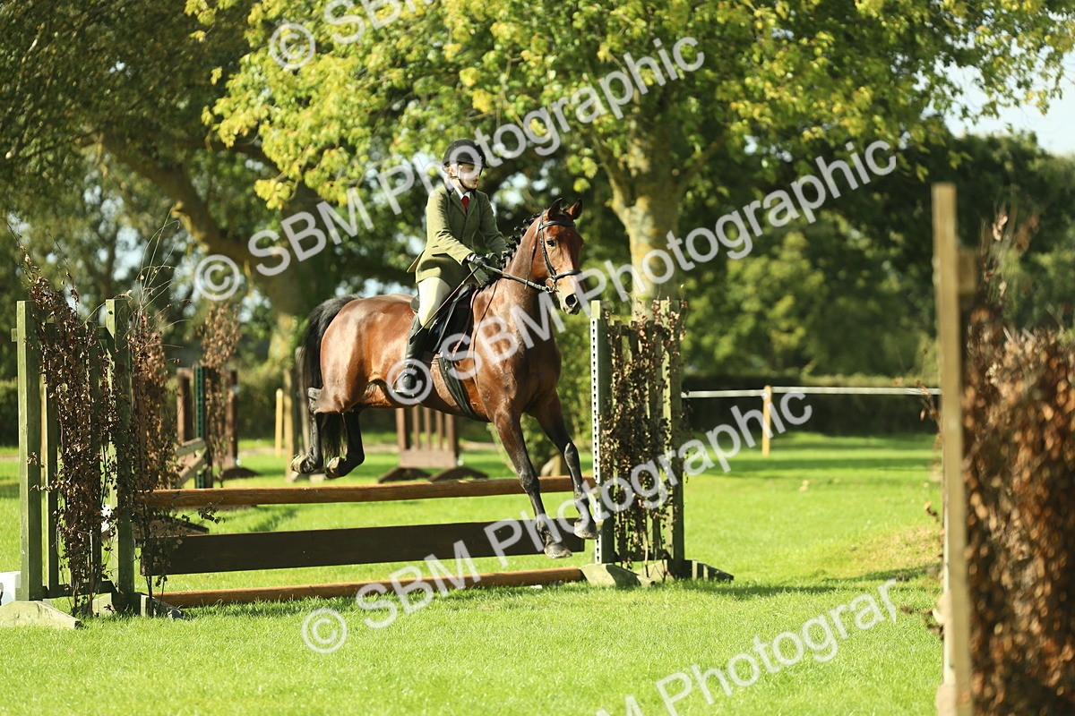 SBM_48096 - S32 - Novice & Newcomers Working Hunter