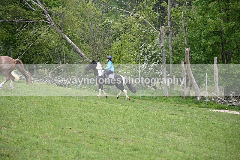 WJ6_3062 - A Camera