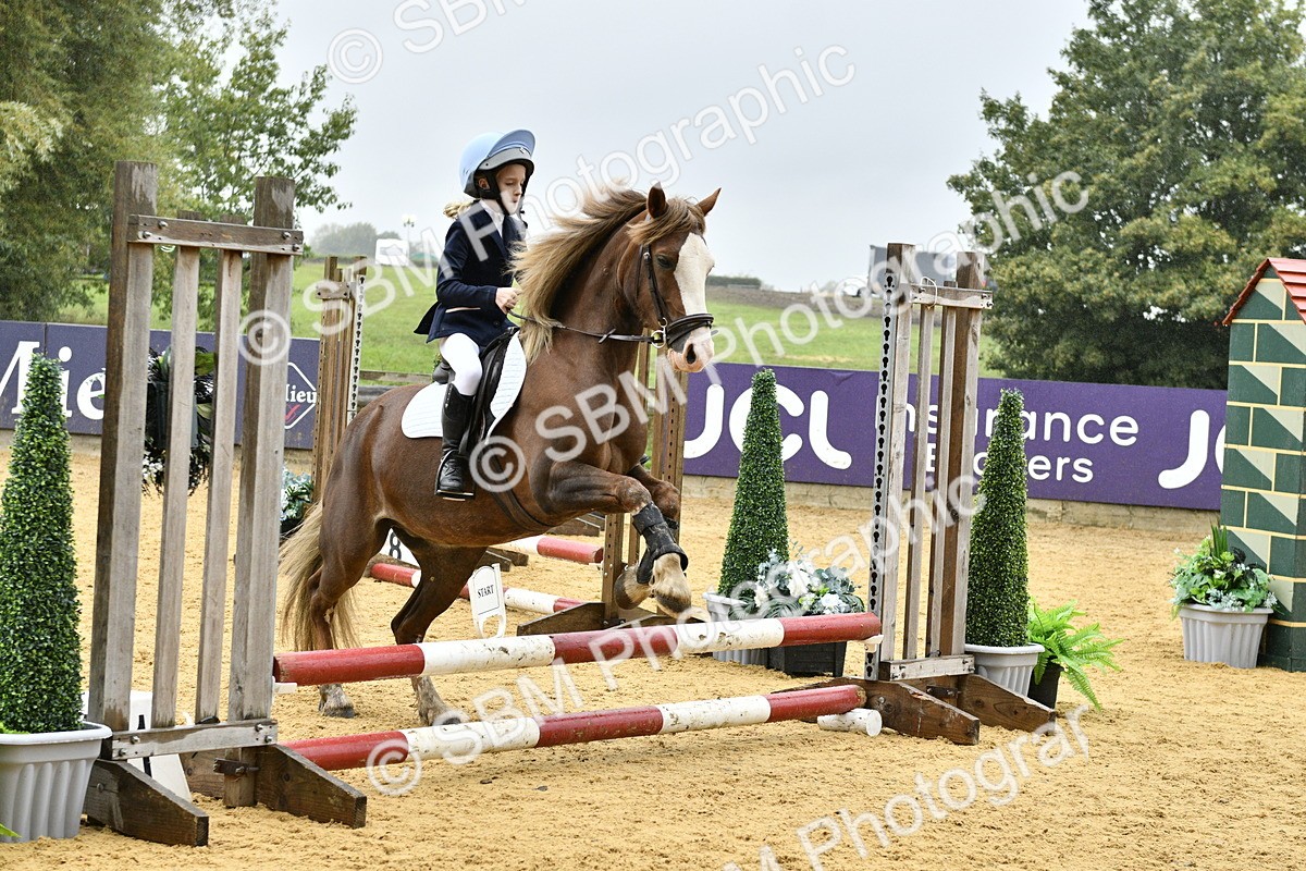 SBM_70884 - J3 - Mini Tour Junior Pony 40cm championship
