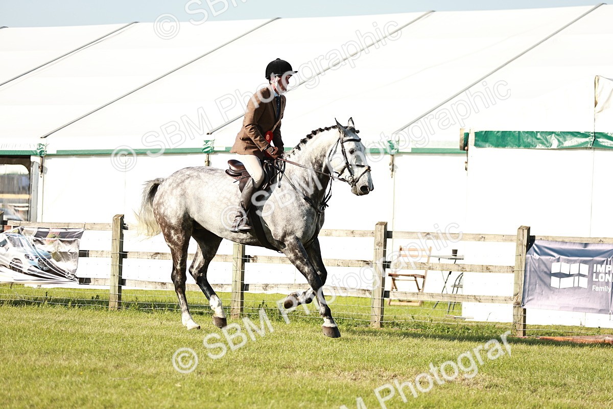 SBM_20058 - Class 115-116 - LIHS BSHA Rising Star Working Hunter & Show Horse
