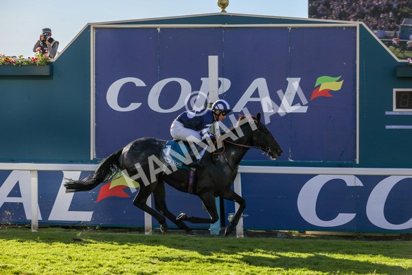 141023-Race 5-Certain Lad-0548 - Race 5 3.35pm Coral Racing Bet Bundles Handicap