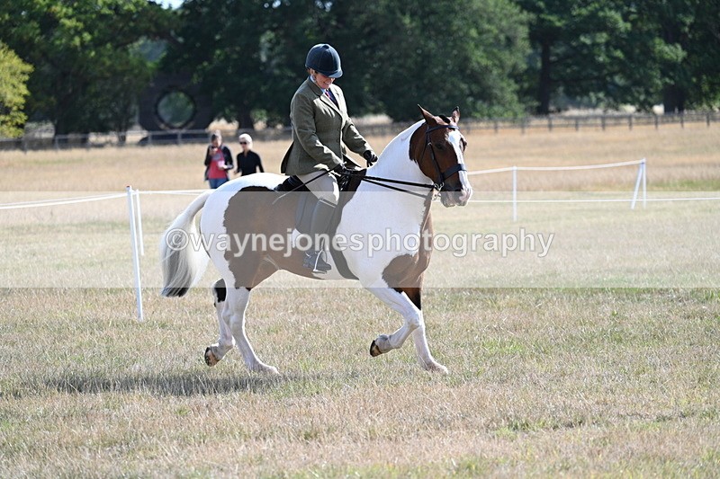 WJ7_2828 - Class 8 Ridden Tack & Turnout