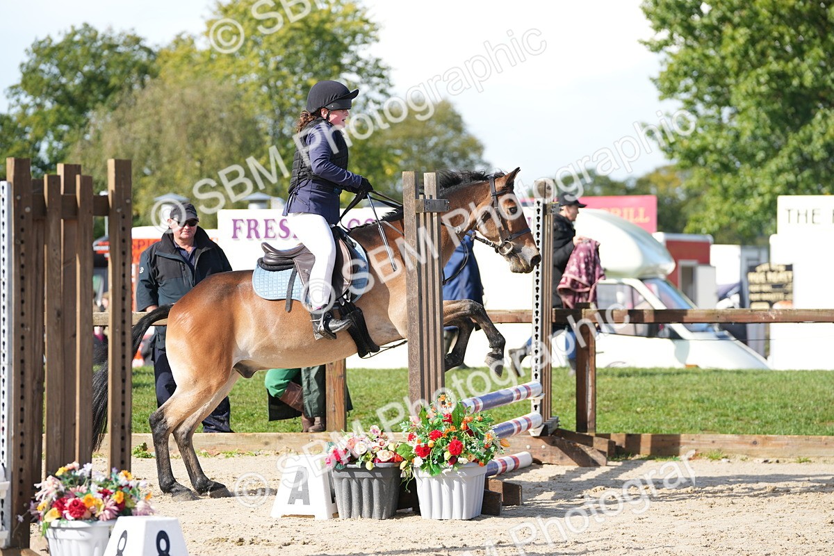 SBM_38228 - J6 - Junior Pony 55cm Championship