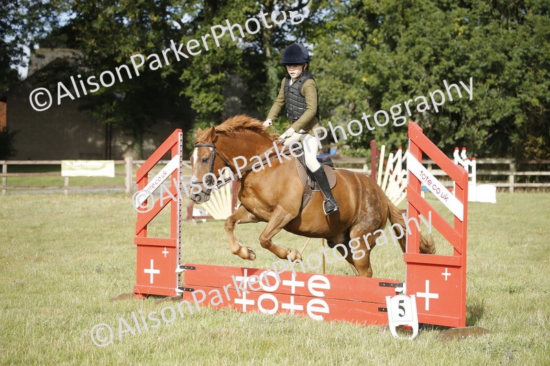 20250831-0063 - Class 1 - 50cm