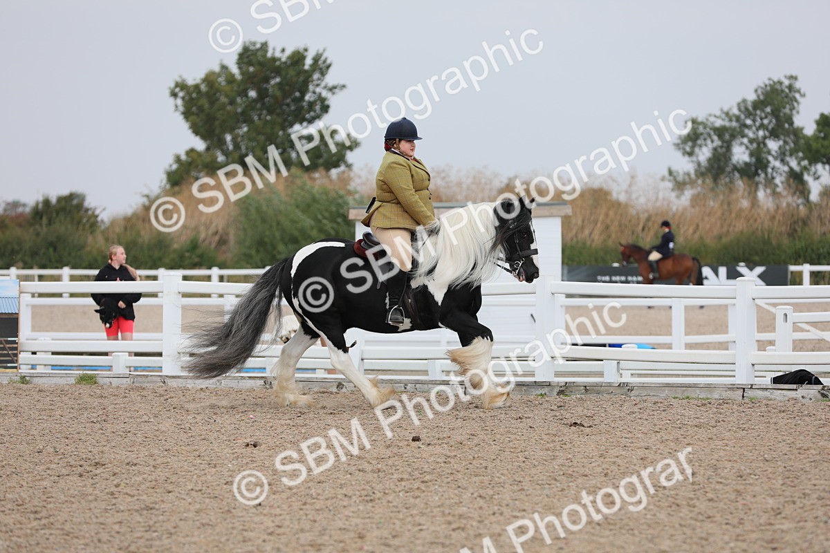 SBM_12759 - Class 307 Ridden Coloured Pony