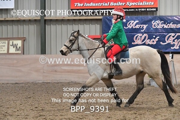BPP_9391 - CLASS 5 60CM Progressive Show Jumping