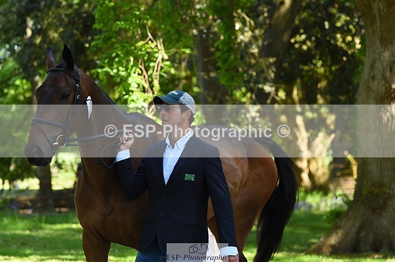 230524-153450-00371 - 360-NO_RUSH_ONE-Marcio_Carvalho_Jorge-WEDTrotUp+DR