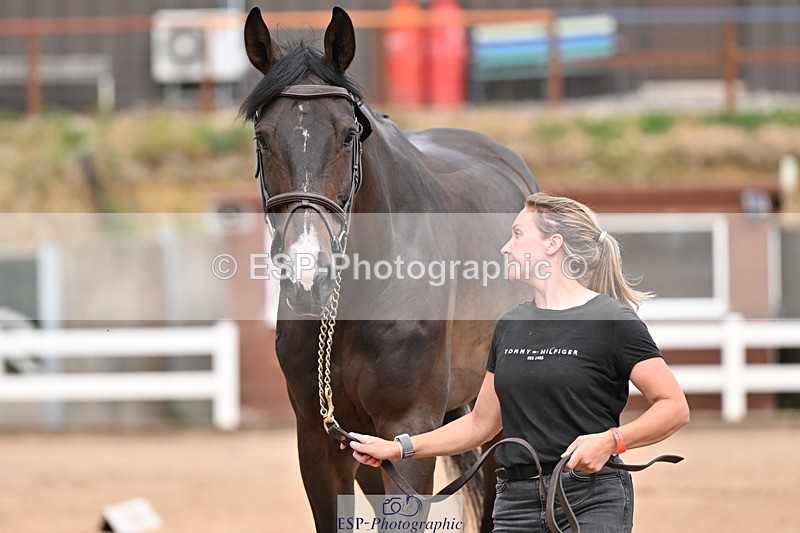 250716-162242-02602 - Trot Up 3.30 to 4.30