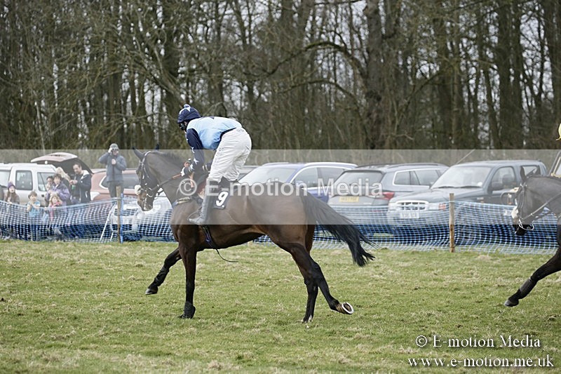 PtP 110318 272 - Hampshire Hunt Point-to-Point Hackwood Park 11/03/18