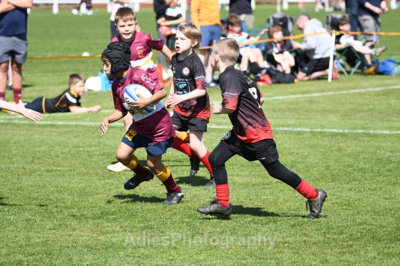  - Selby Rugby Festival 2025