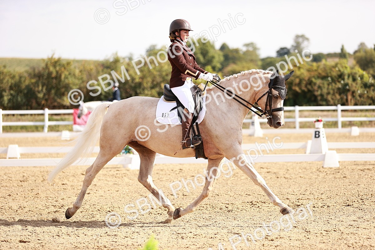 SBM_017029 - Class 10 - Medium 6