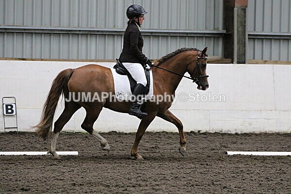 SIAL4259 - CAbin Dressage 5th july 2025