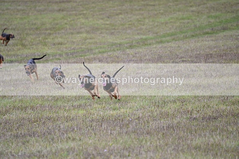 WJ6_0875 - Camera 2 Line 2