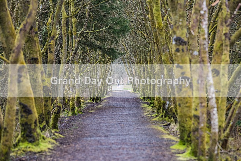 Kielder Ultra-779 - High Terrain Events Kielder 82, 50, 32K Ultra Races, Saturday 1st April 2023