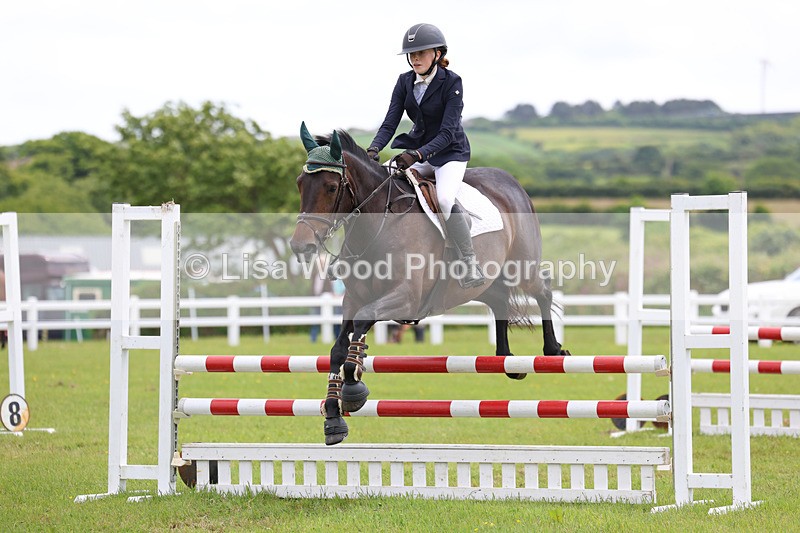 3E7A7204 - Class 13: Senior British Novice/90cm open