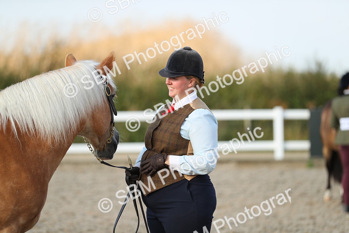 SBM_09043 - Class 29 IH Veteran Pony