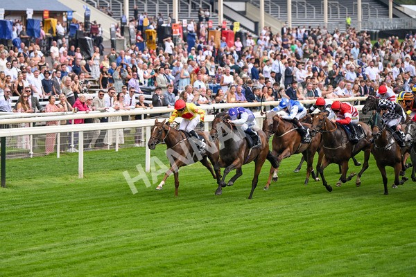 250725-Race 1-Pressures On - Quest For Fun-5333 - Race 1 5.30pm eventmasters.co.uk Handicap