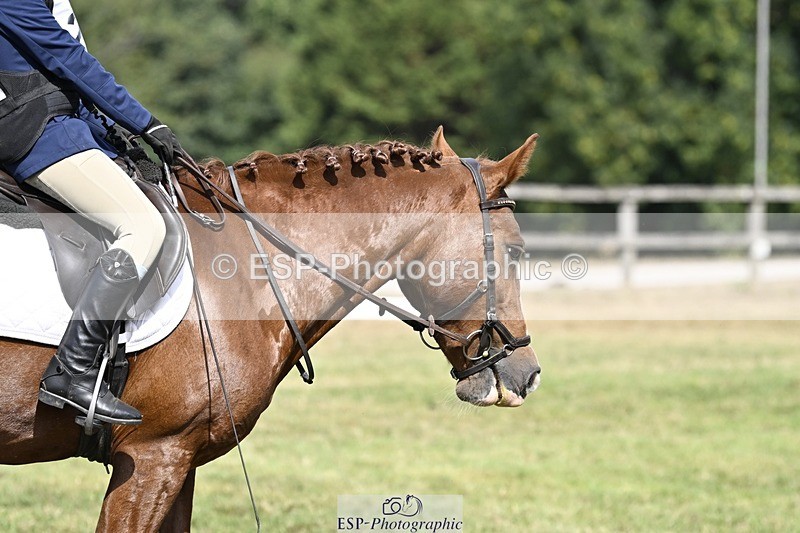 250821A-112050-15269 - DR 11.00 to 12.00