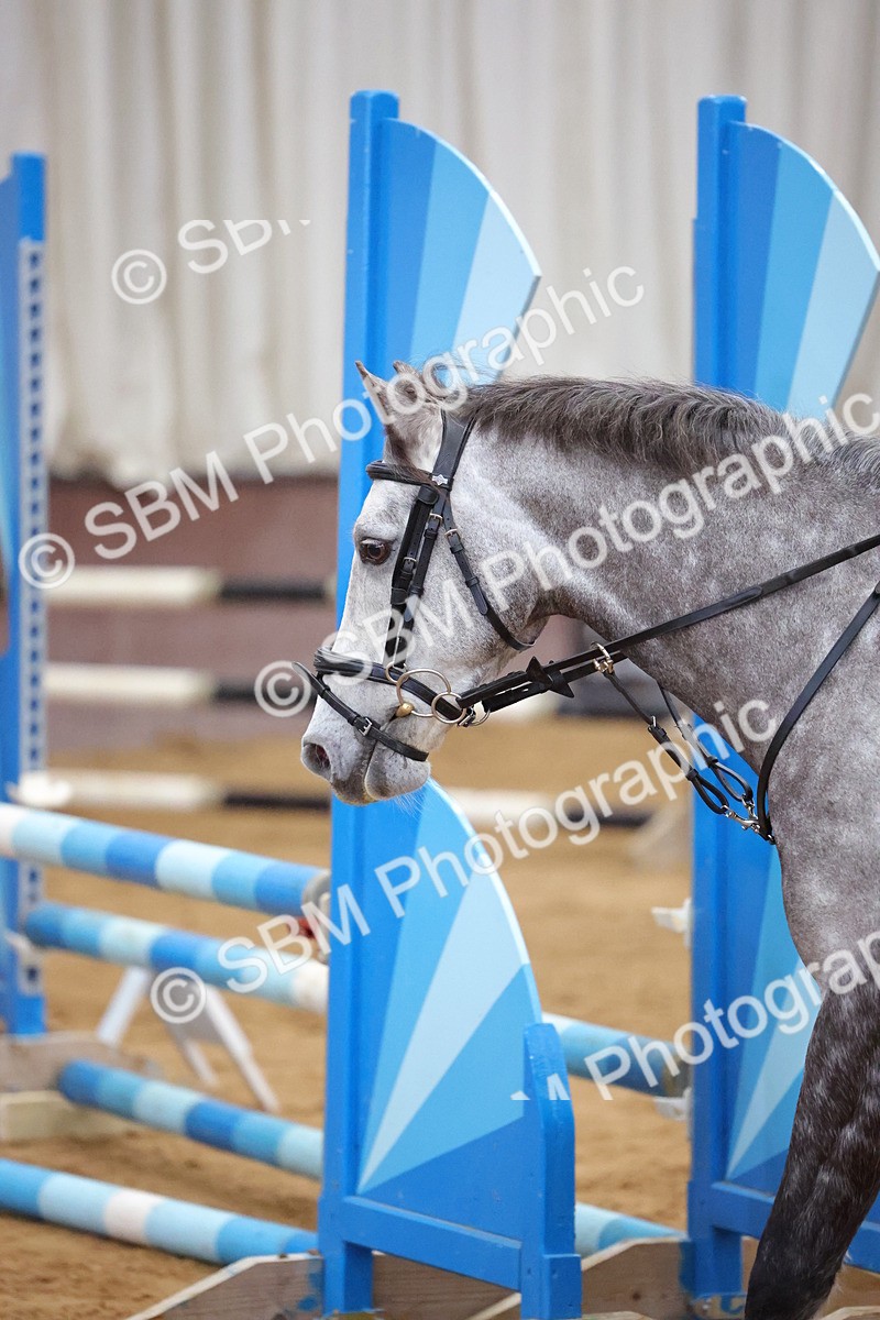 SBM_001706 - Class 5 - 80cm