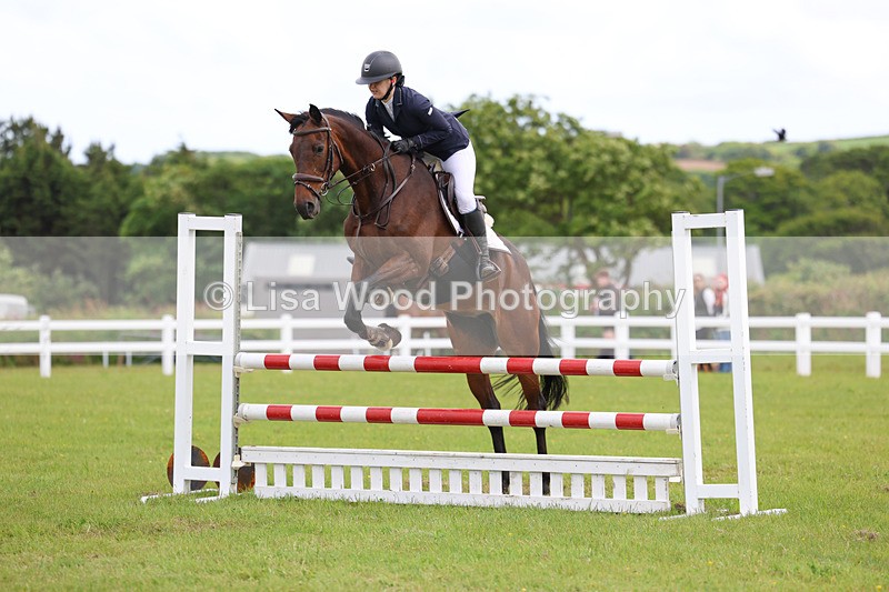3E7A7708 - Class 13: Senior British Novice/90cm open