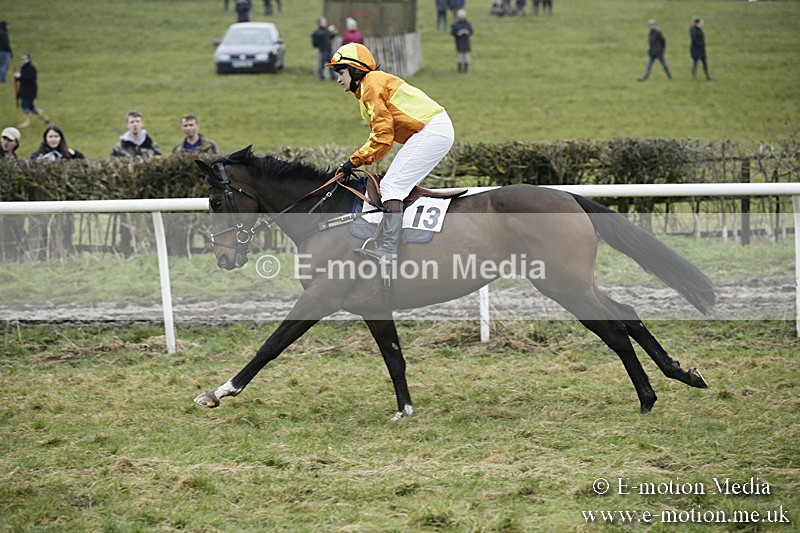 PtP 020418 -115 - Old Berks Point-to-Point Races Easter Monday 02/04/18