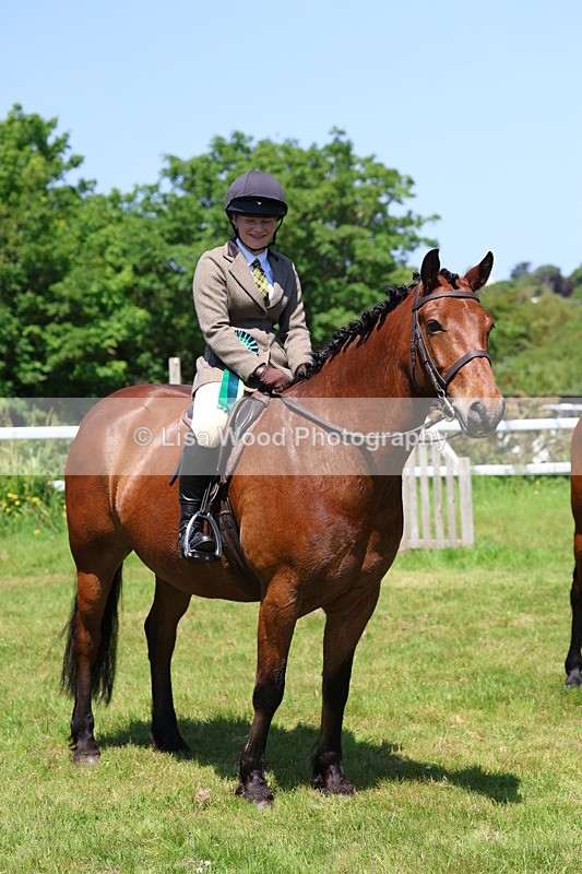 3E7A7418 - Class 30: Novice Working Hunter