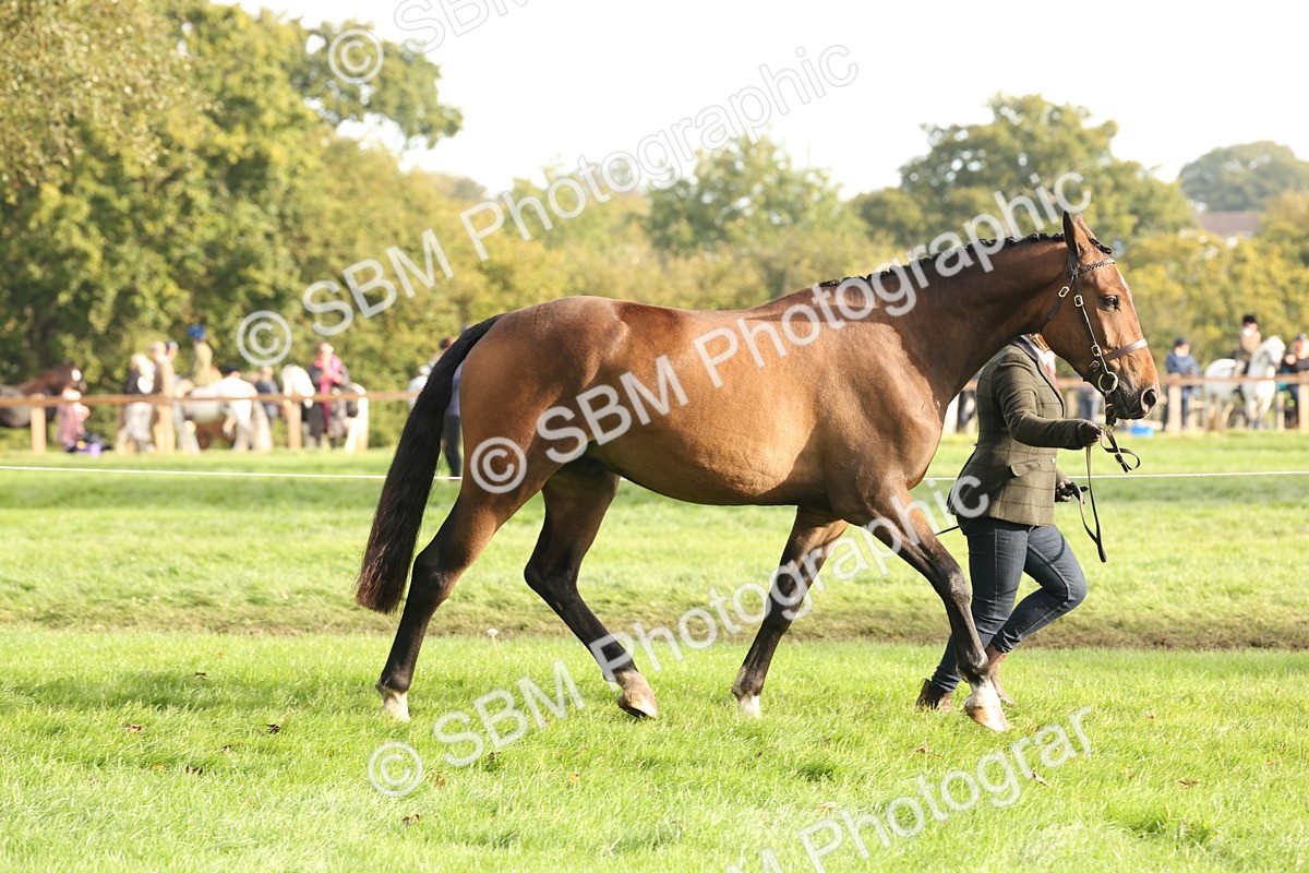 SBM_54686 - S53 - Hunter In Hand