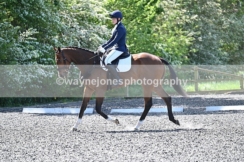 WJ7_9186 - Time 11:56 to 12:08