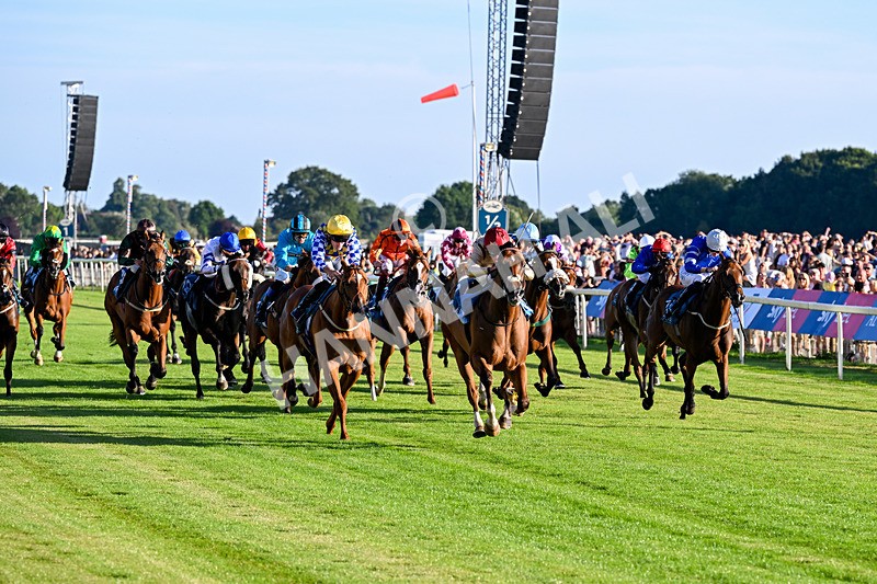 240726-Race 4-Rajaking-5325 - Race 4 19.15pm Tomahawk Handicap