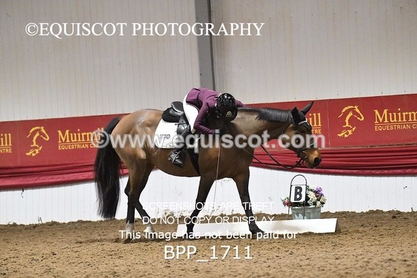 BPP_1711 - PC NOVICE DRESSAGE