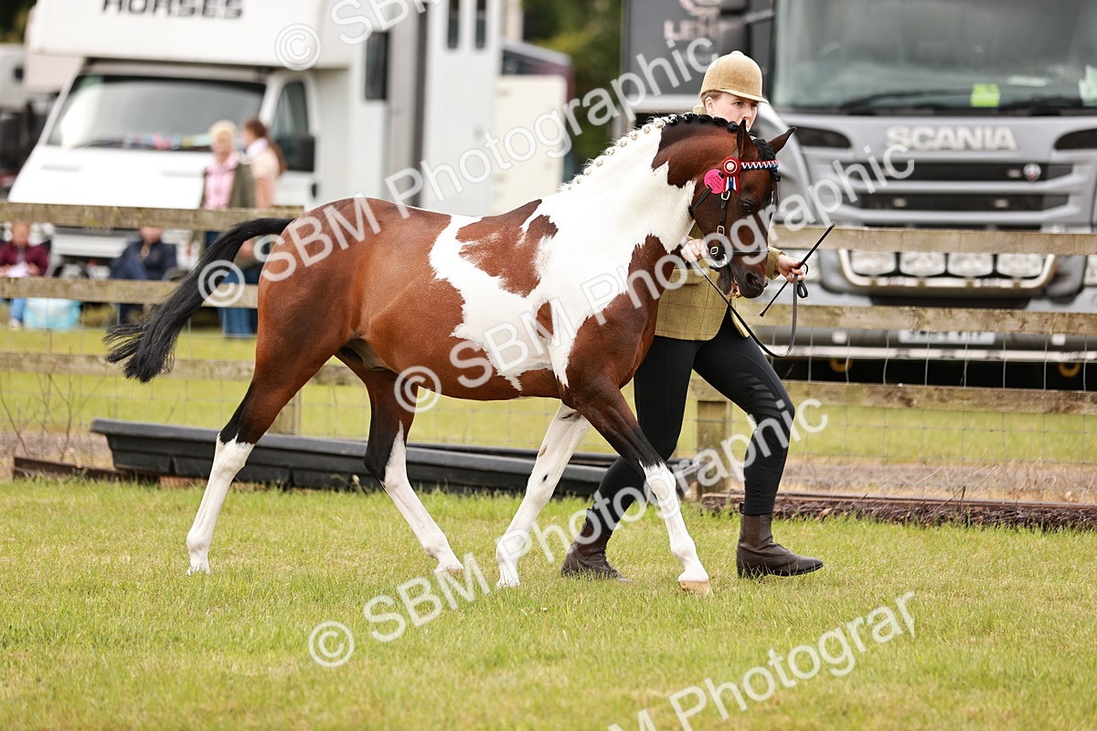 SBM_04604 - Class 5-8 - BSPA In hand