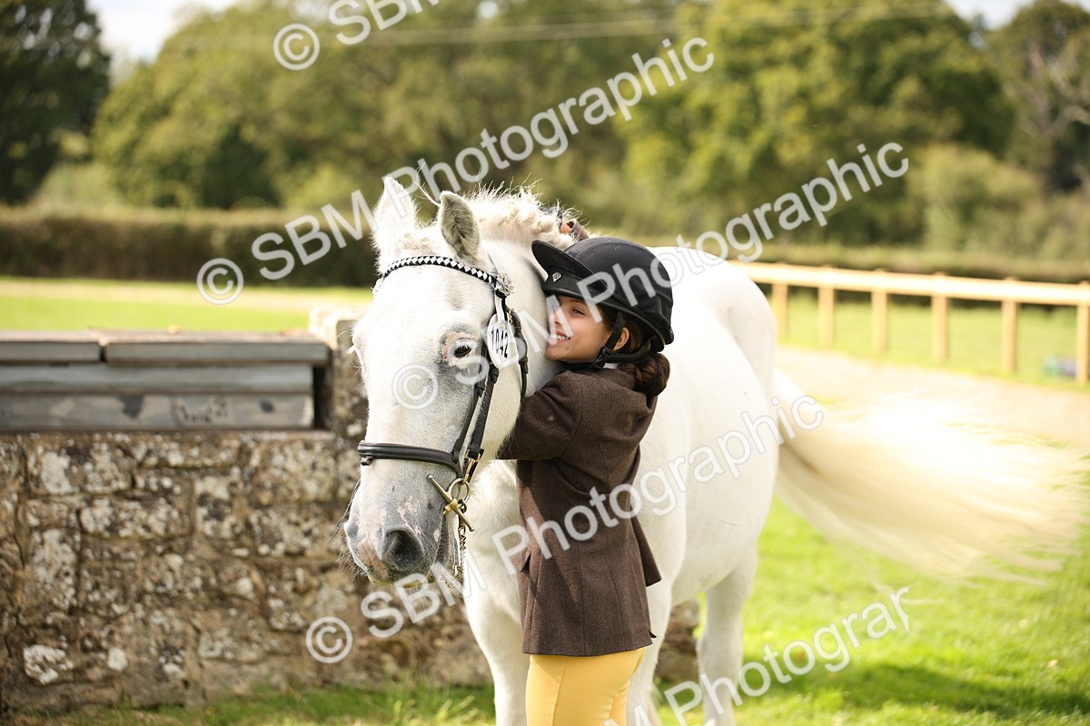 SBM_46412 - S25 - Mature Veteran In Hand