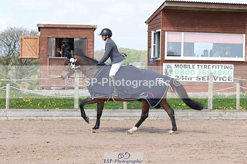 250427-102858-15351 - Cls 32 Young Horse 6yr old