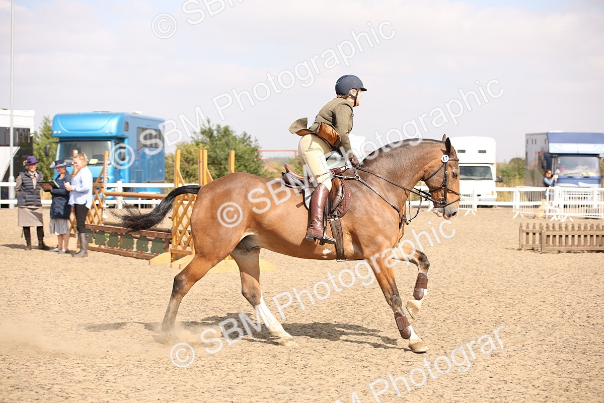 SBM_15035 - Class 408a - Working Veteran 70cm (15-19