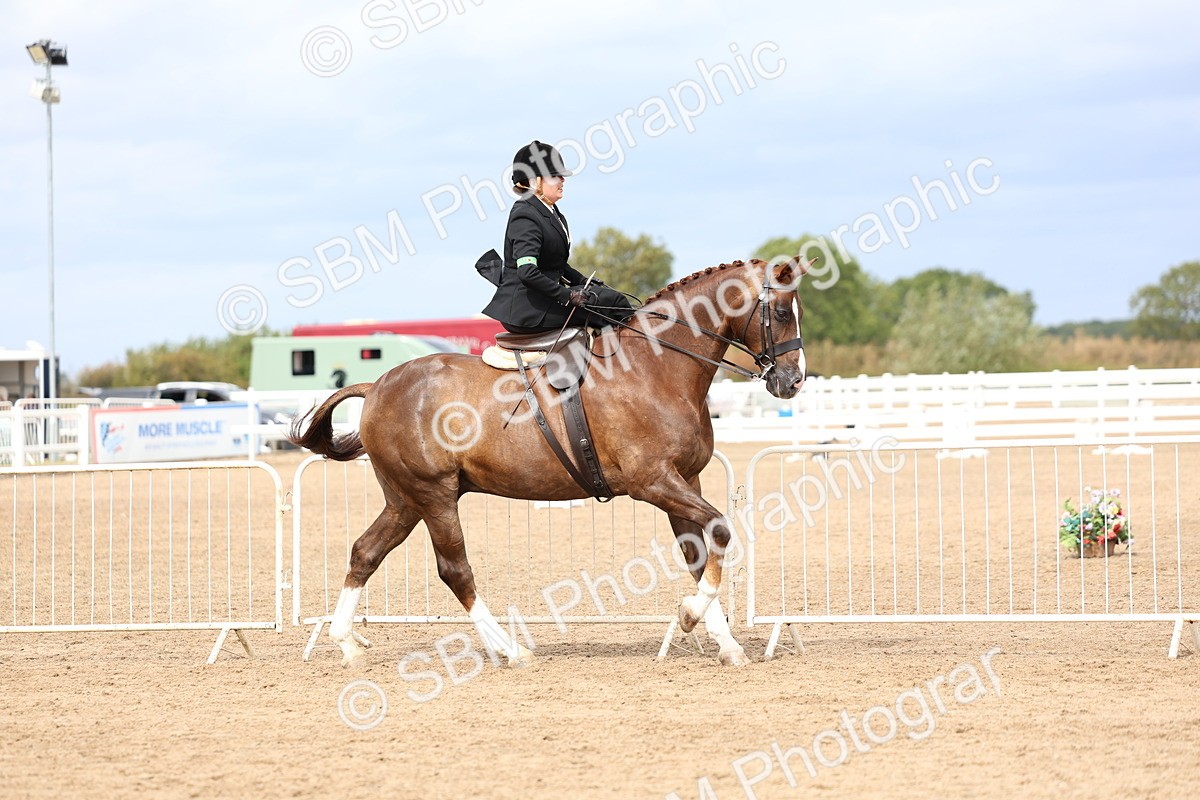 SBM_03402 - Class 24 - SSA Concours d'elegance (any age)