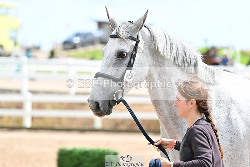 240717A-144353-02250 - Trot Up 2pm to 3pm - This folder is not in time order