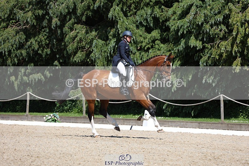 230526-141455-06481 - 372-INDYGO_BLUE-Jess_Butler-WEDTrotUp+DR